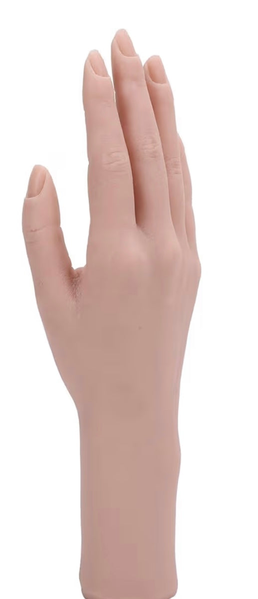 Single Practice Hand Model