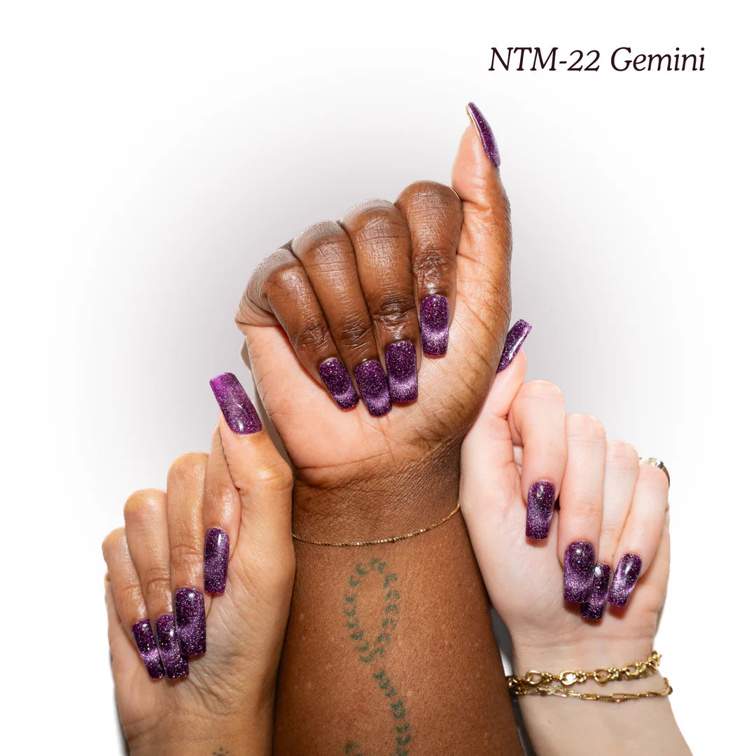 NTM-22 Gemini