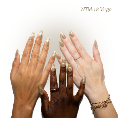 NTM-18 Virgo