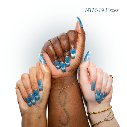 NTM-19 Pisces
