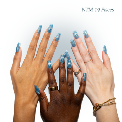 NTM-19 Pisces