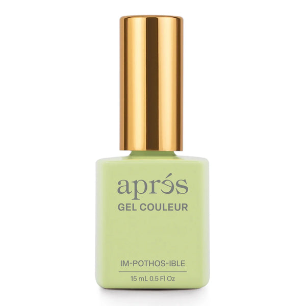 IM-POTHOS-IBLE - 236