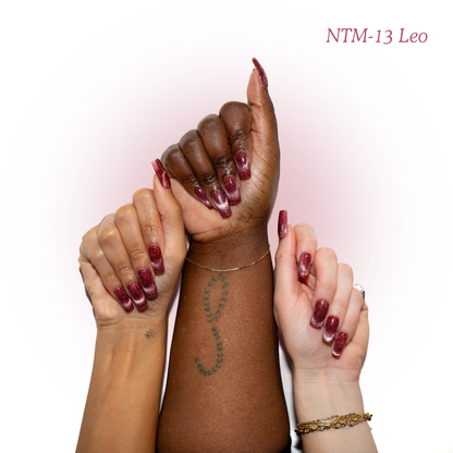 NTM-13 Leo