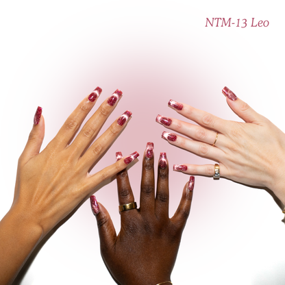 NTM-13 Leo