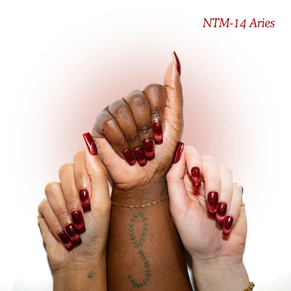 NTM-14 Aries