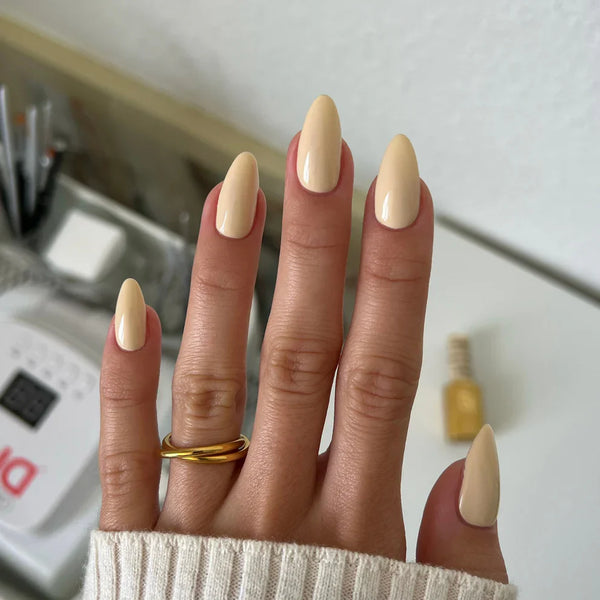 BISCUITS N‚' HONEY DIVA #052