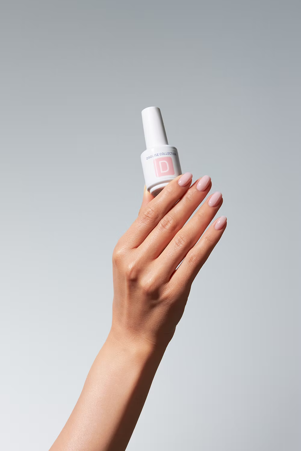 Color Gel Disguise Collection D