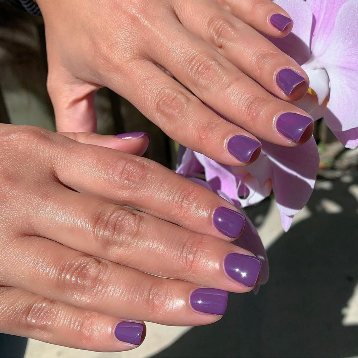 Electric Purple #048