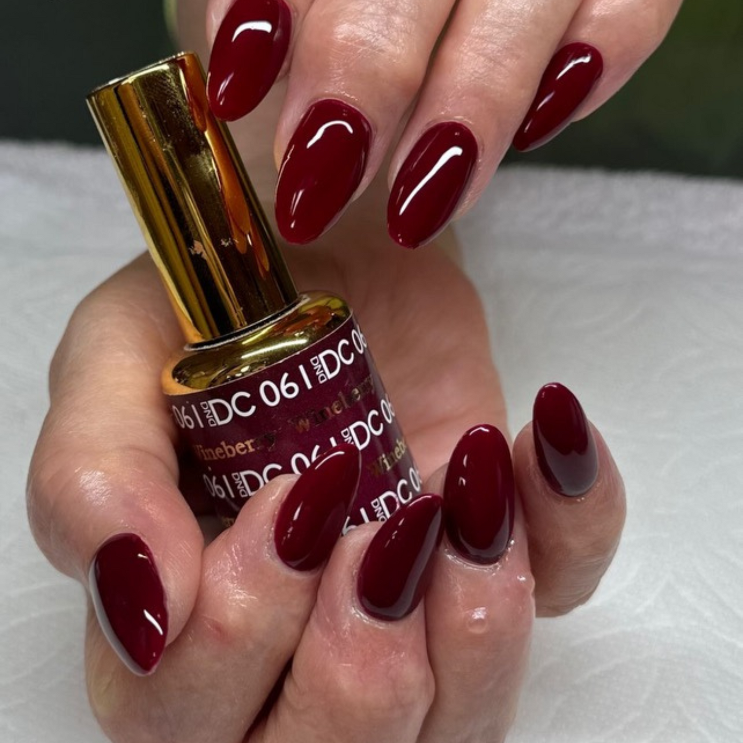 DC Wineberry #061