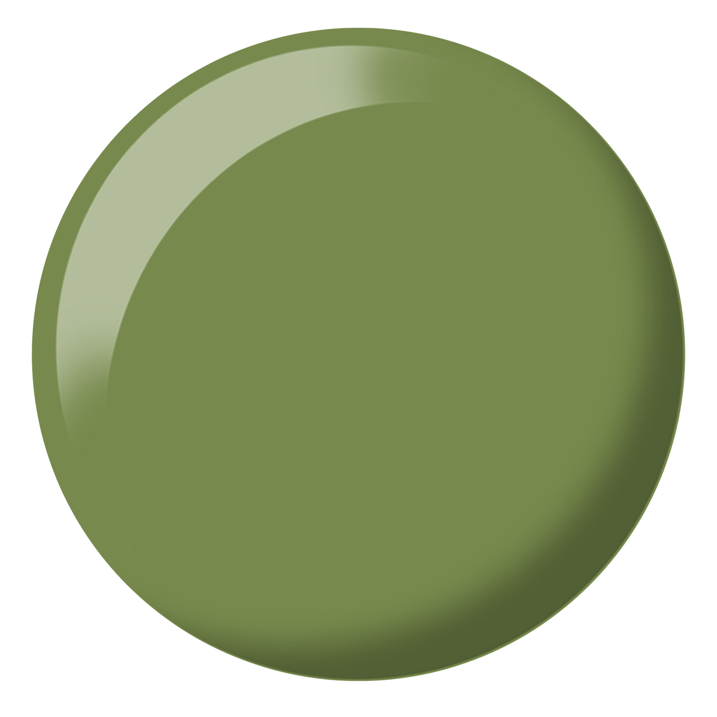 Safari #324