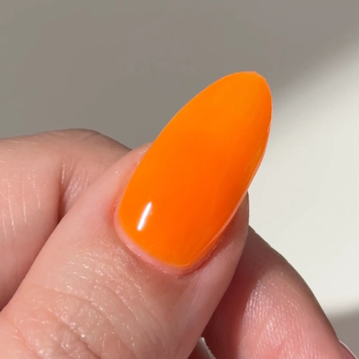 DC Jelly #006 - Orange