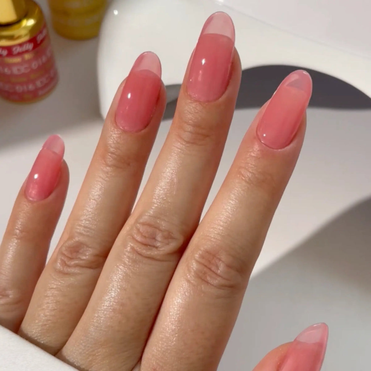DC Jelly #016 - Rose
