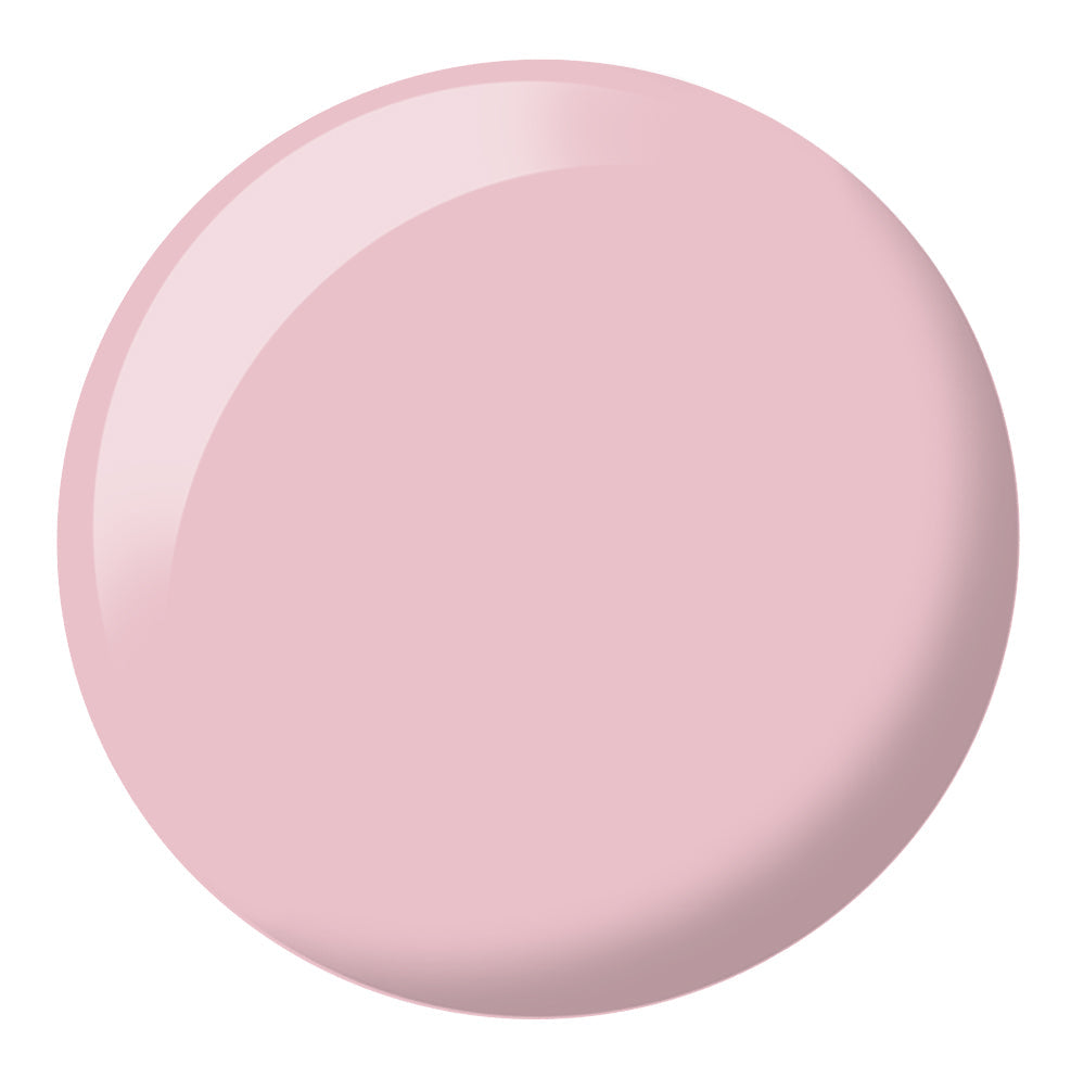 Rock "N" Rose #451