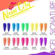 Dgel Signature Neon City Collection