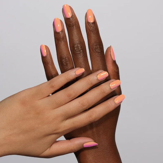TANGY APRICOT DIVA #168