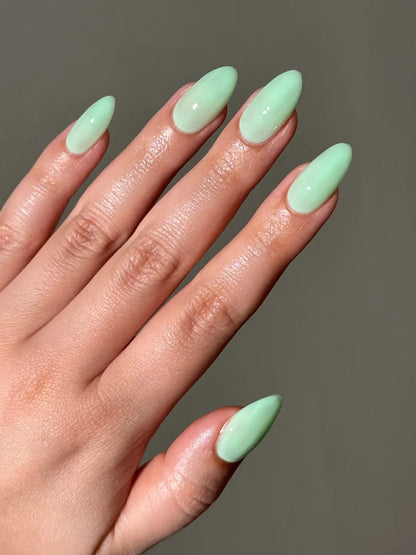 DIVA Jelly #009 - Matcha