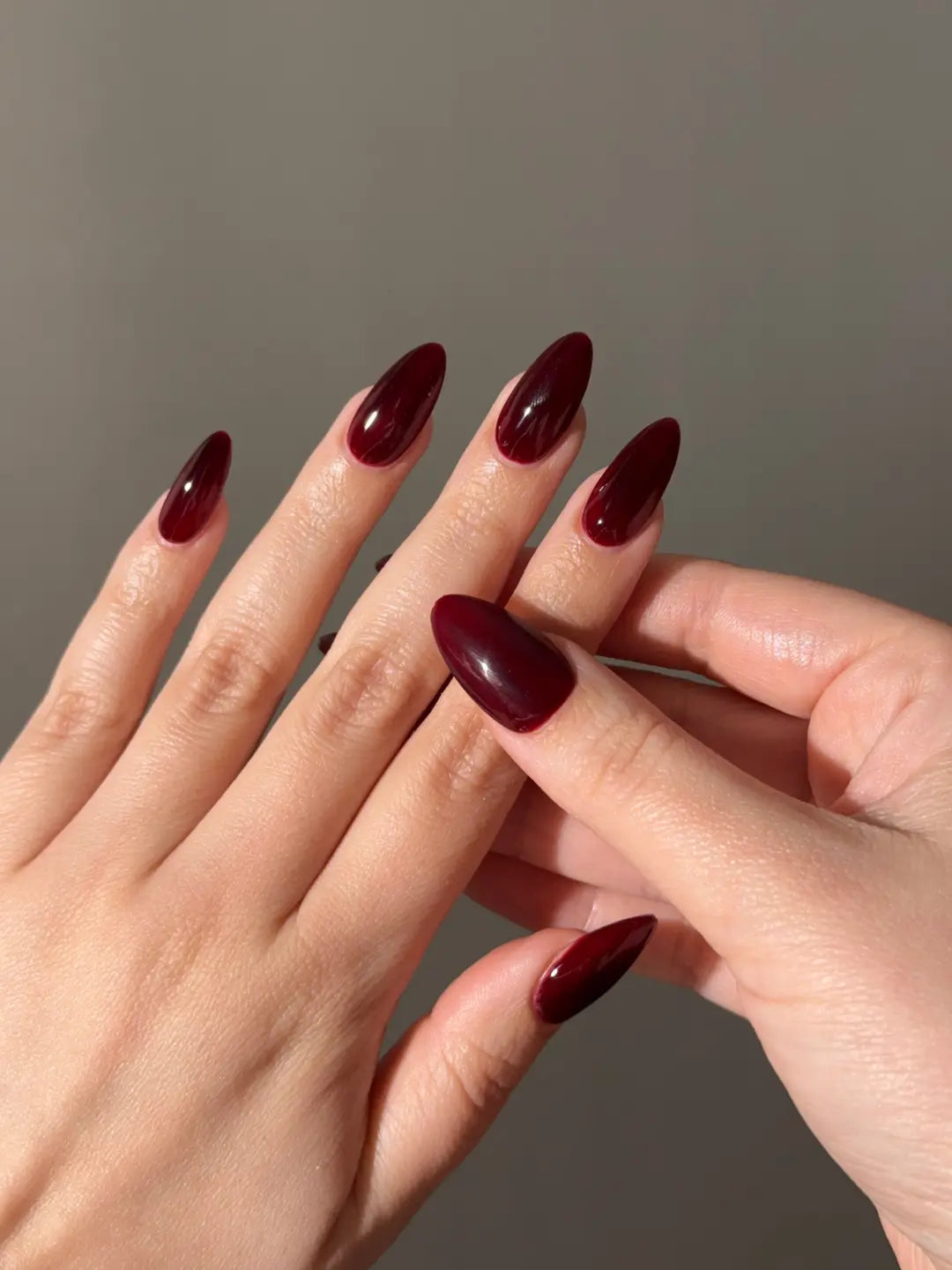 DIVA Jelly #032 - Black Cherry