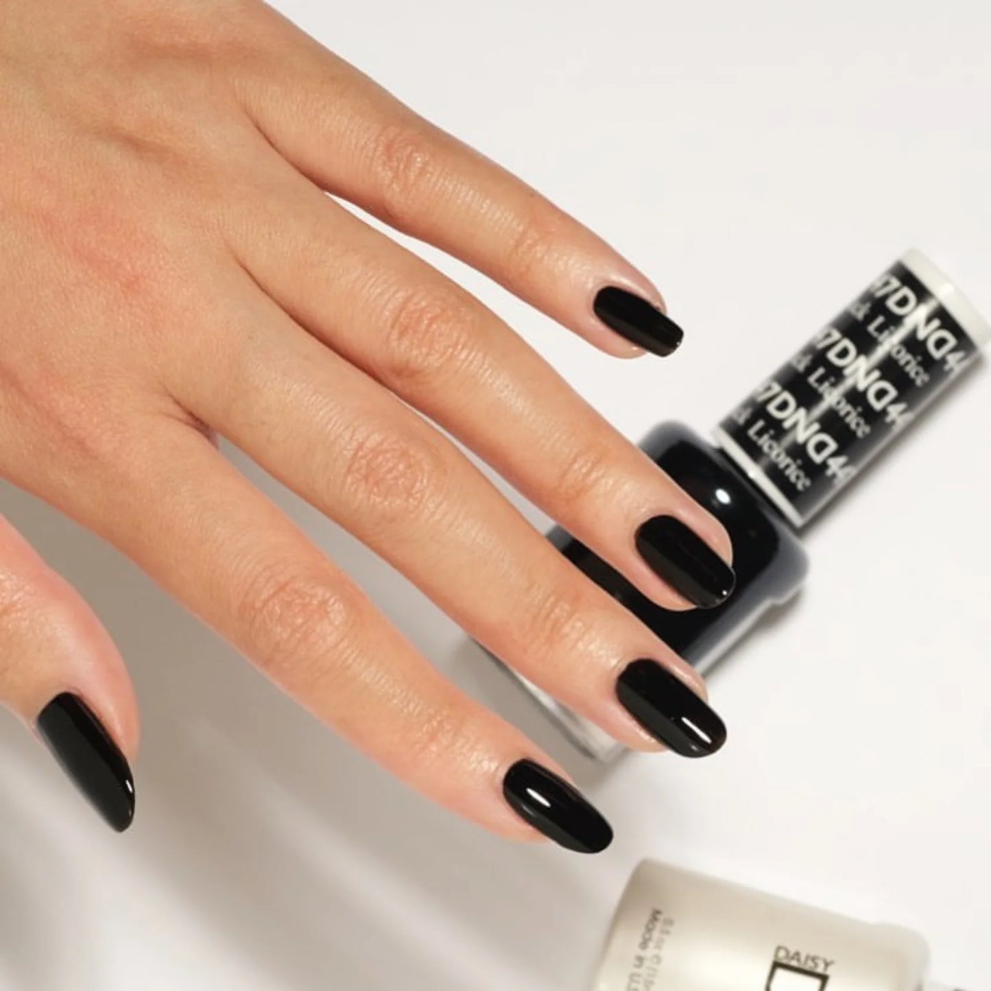 Black Licorice #447 - Gel Only