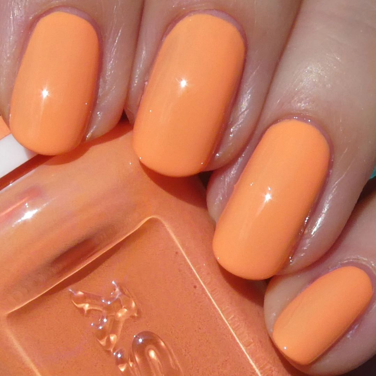 Soft Orange #502