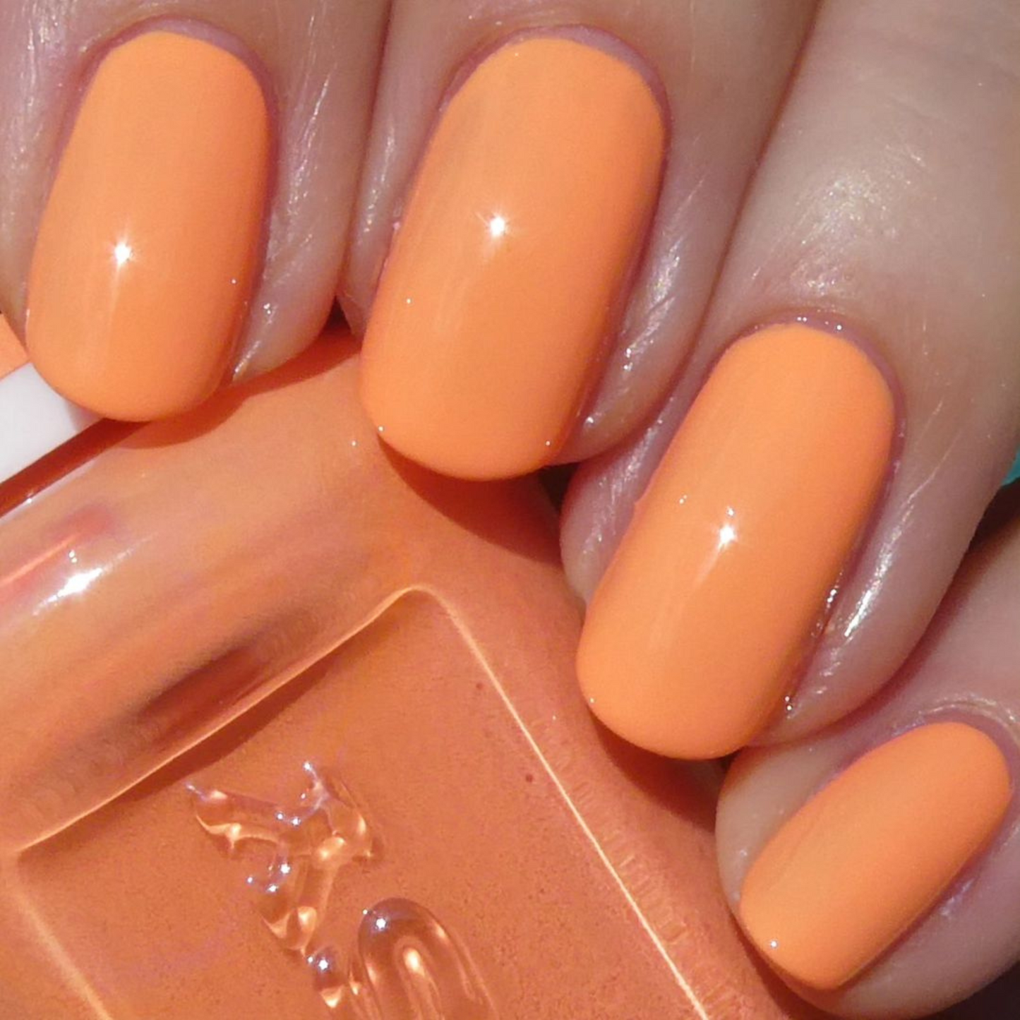 Soft Orange #502