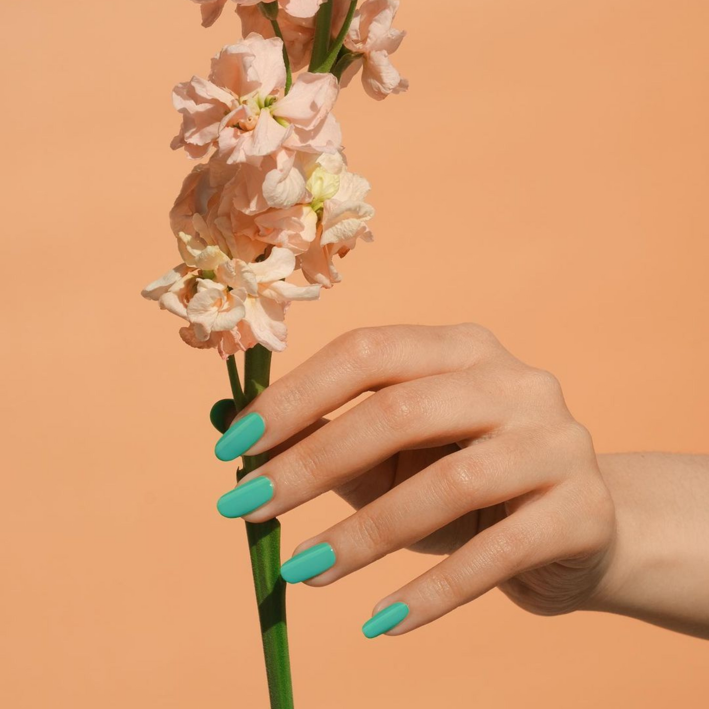 Green Spring #569
