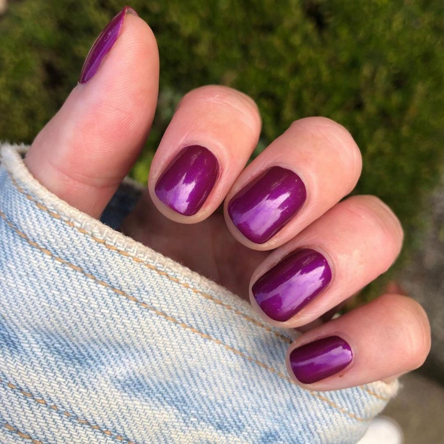Purple Glass #703