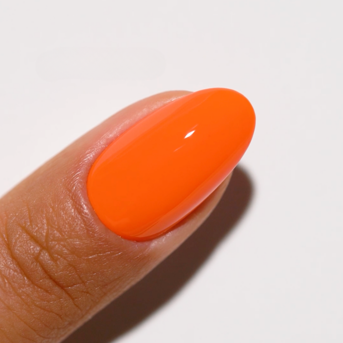Orange Sherbet #713
