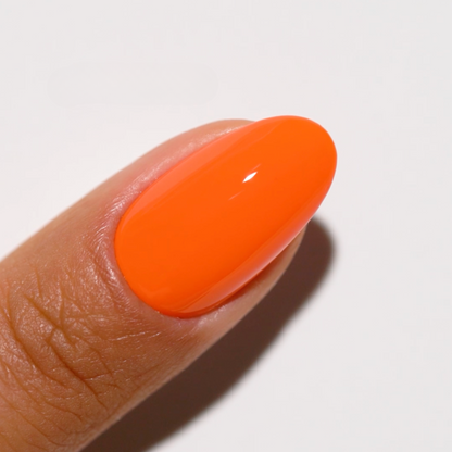 Orange Sherbet #713