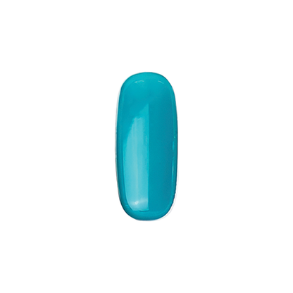 E-259 Mexican Turquoise