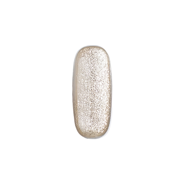 E-52 Silver Micro Glitter