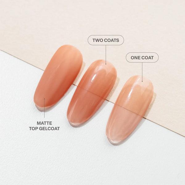 DRIED BOUQUETS - 604