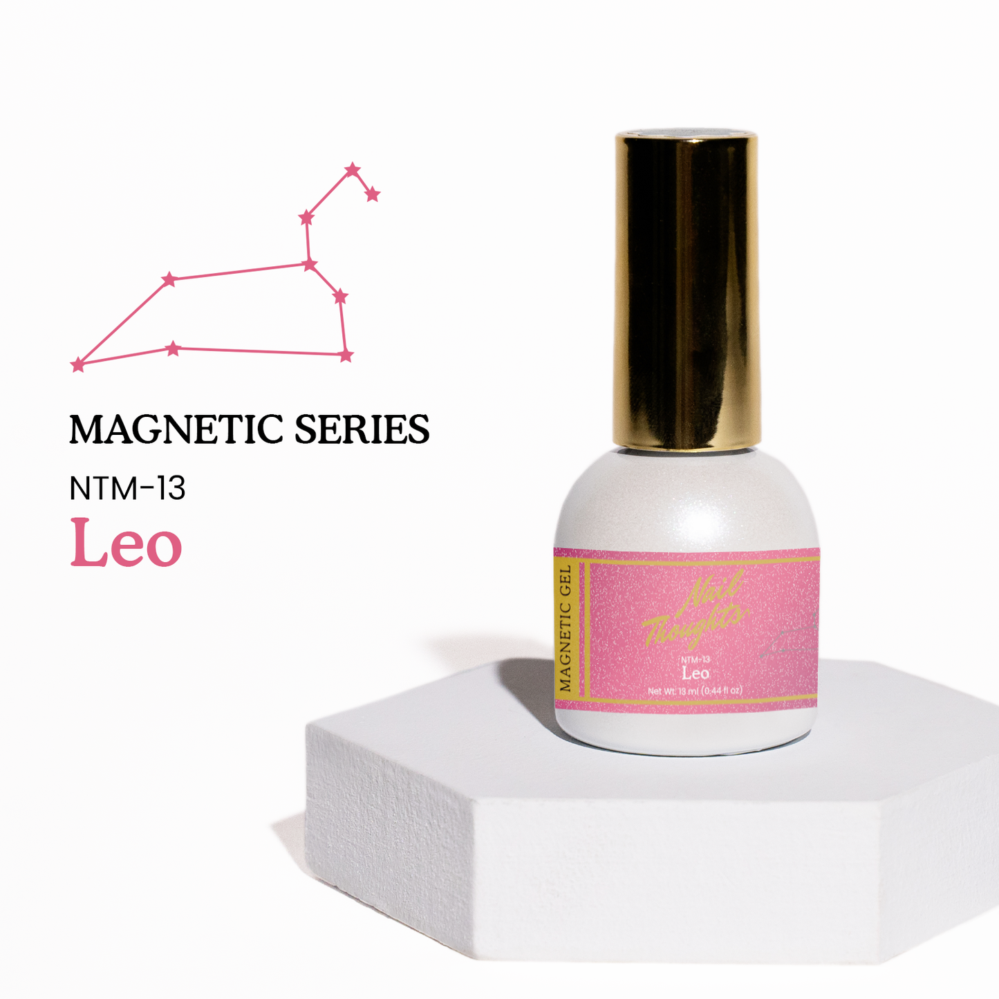 NTM-13 Leo