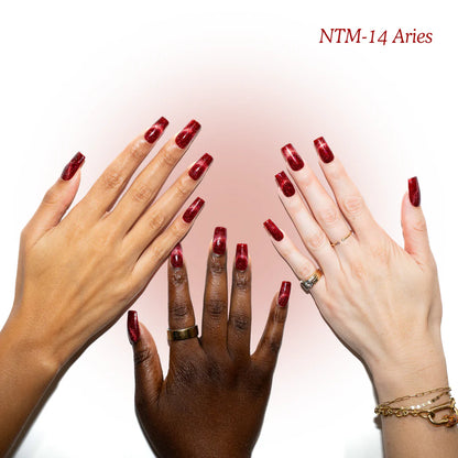 NTM-14 Aries