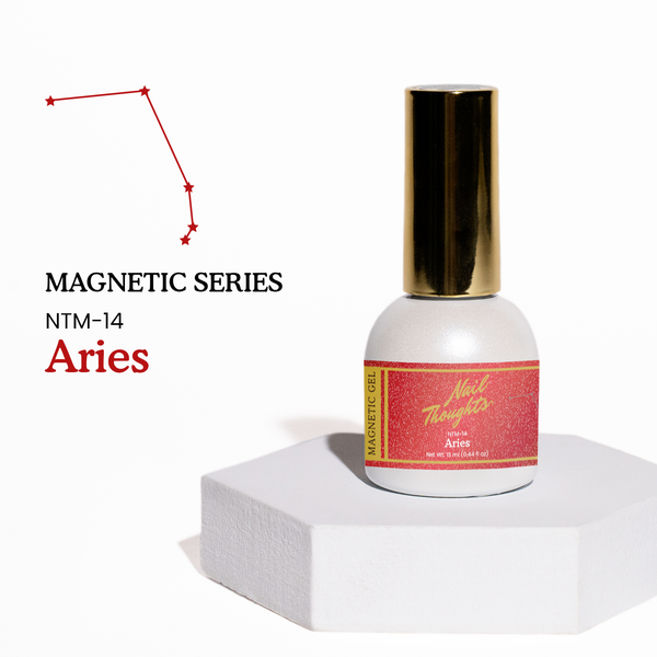 NTM-14 Aries