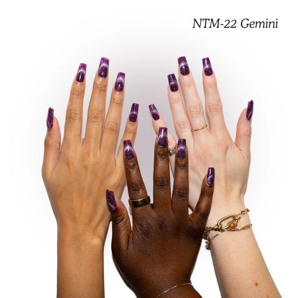 NTM-22 Gemini