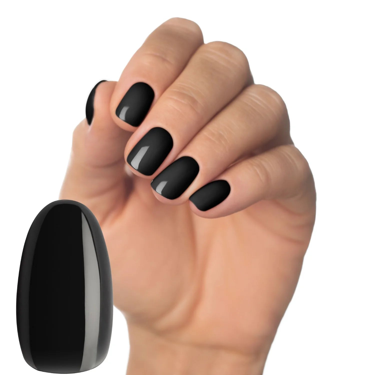 Absence (Smoky Black)