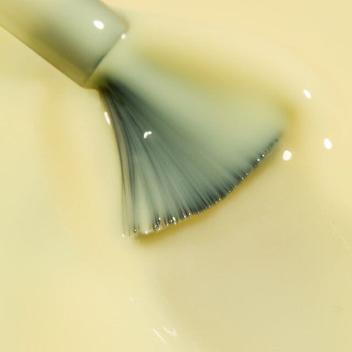 Sorbet BIAB (TPO Free)