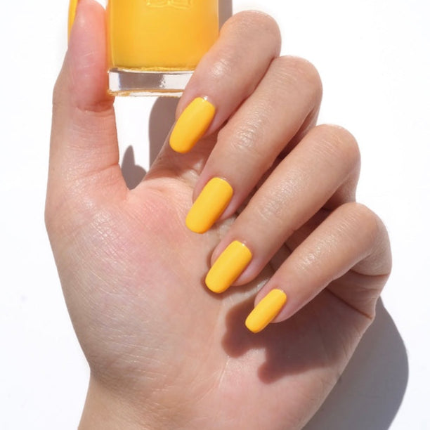 Summer Sun #506