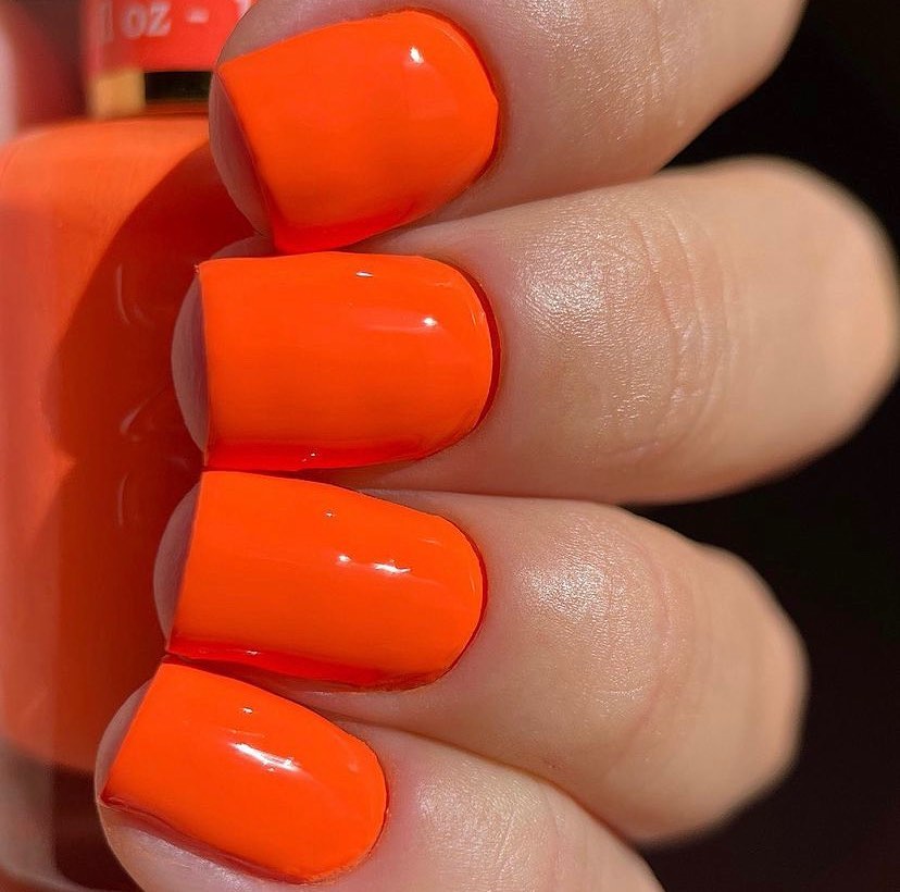 Dutch Orange #010