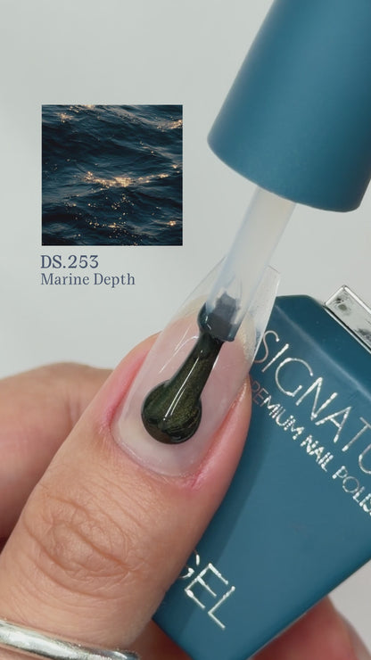 Ocean Collection