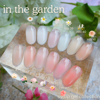 POT NTB-47 Hibiscus Syrup Base 8g